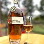 Tatil parkı Ferien-& Erlebnispark Ploetzky