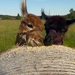 Tatil parkı Ferien-& Erlebnispark Ploetzky Schönebeck